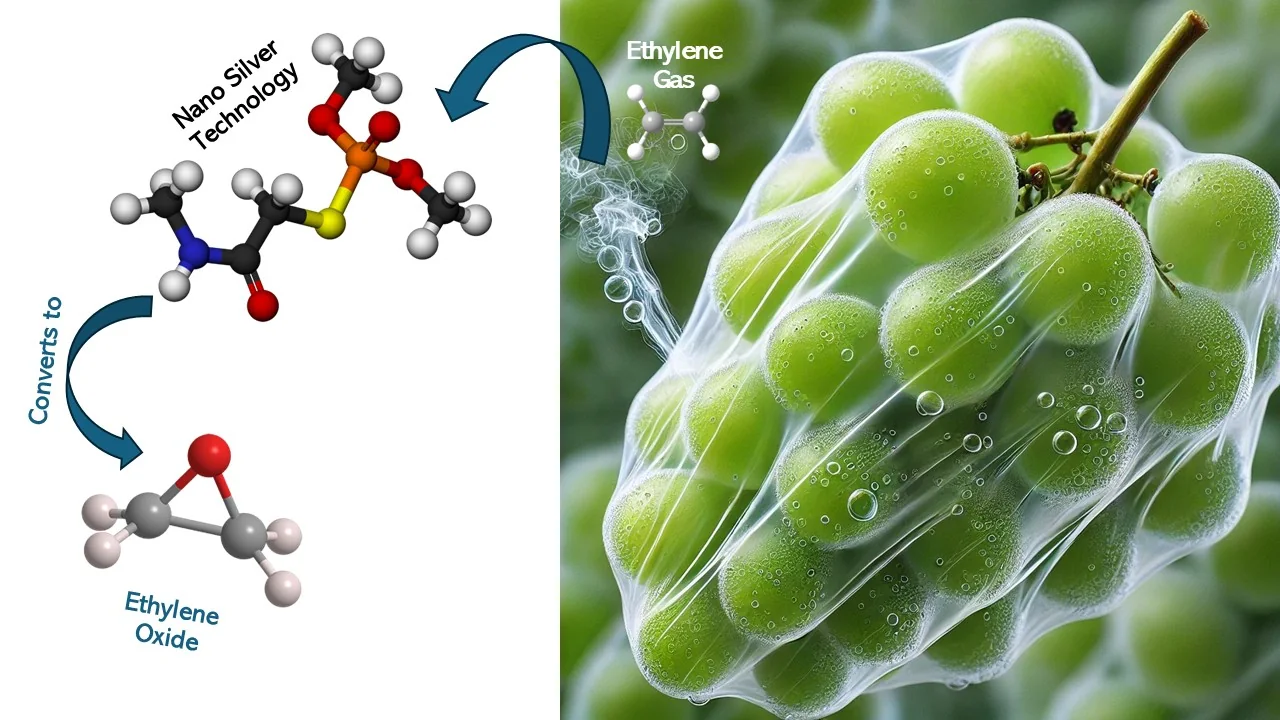 Ethylene Management Technology