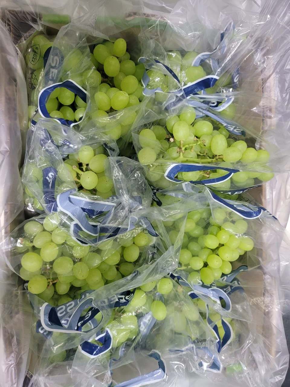 Fresh Keeper Bio packaging with grapes